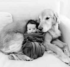 a dog and a baby sitting on a couch