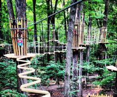 a tree house in the middle of a forest