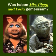 Voiceover Sprecher Yoda Miss Piggy Fun Fact Muppets Star Wars Fiverr Freelancer Miss Piggy, Vintage Bags, Kitchen Interior, The Voice, Acting, Audio