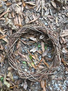 a bunch of twigs that are laying on the ground