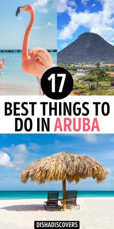 the best things to do in aruba, including flamingos and beach umbrellas