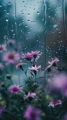 pink flowers sitting in front of a window covered in rain