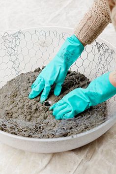 two hands in blue gloves are digging dirt into a bowl