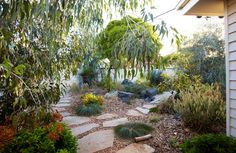 a garden with rocks, plants and trees in the back yard is seen from outside