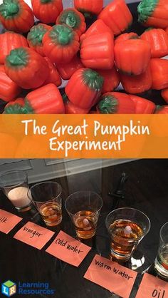 the great pumpkin experiment is on display in front of several glasses with orange liquid inside