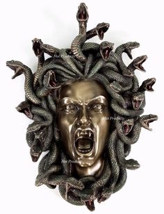 a metal head with many snakes around it