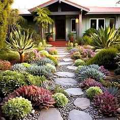 a house with lots of plants in the front yard and walkway leading up to it