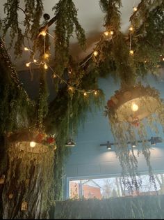 plants and lights hanging from the ceiling in a restaurant