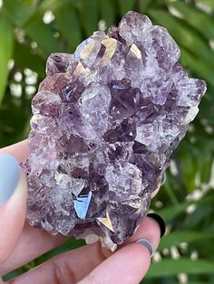 a person is holding a rock with many crystals on it in front of some plants