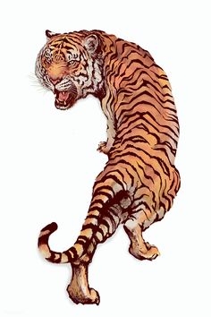 a drawing of a tiger with its mouth open and it's paw in the air