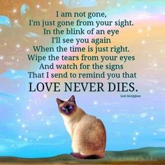 a siamese cat sitting on top of a table next to a quote from love never dies