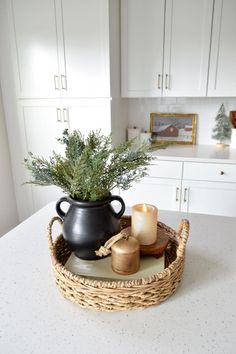 a potted plant sitting on top of a counter next to candles and other items