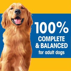 a dog with the words 100 % complete and balanced for adult dogs