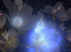 some white flowers are in the dark with bright lights coming from them and stars on the sky