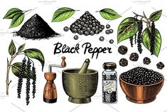 various spices and black pepper are shown in this hand - drawn illustration on white paper