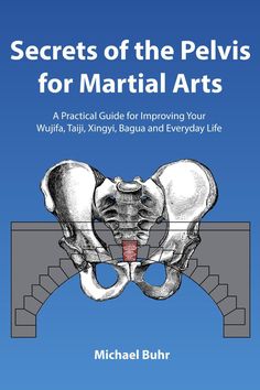 secrets of the pelviss for martial arts