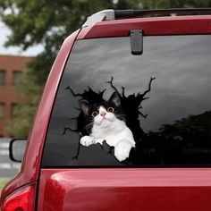 a black and white cat sticking its head out of the window of a red car