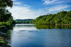 the water is calm and clear for us to see on this day in the wild