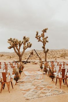 an outdoor ceremony setup with chairs and rugs in the desert, surrounded by cacti