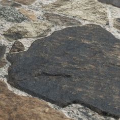 a close up of a rock on a stone floor