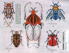 the cross stitch pattern shows different types of bugs