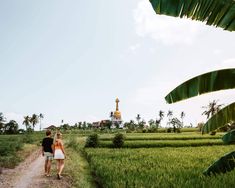 two people walking down a dirt road in the middle of a rice field with a golden dome in the background