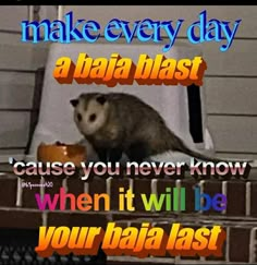 an animal sitting on top of a table next to a wall with the words make every day a data blast cause you never know when it will be your