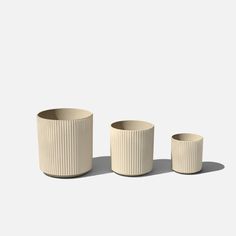 three white cups sitting next to each other