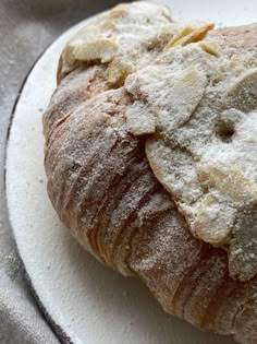 a white plate topped with a croissant covered in powdered sugar