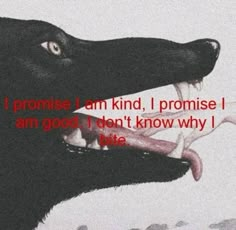 a black dog with its mouth open and the words i promise i am kind, i promise i am good, i don't know why i bite