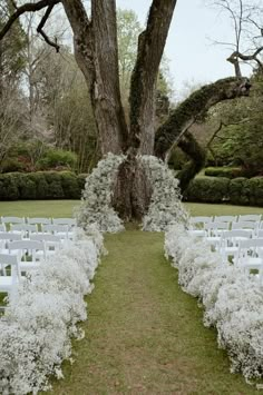 an outdoor ceremony setup with white chairs and flowers on the grass, next to a large tree