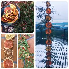 orange slices are arranged in the form of a christmas tree and pine cones, along with other decorations