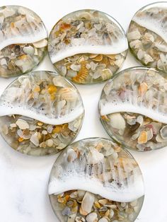 six glass coasters with seashells and shells in them on a white surface