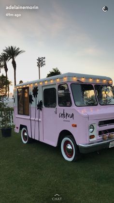 a pink food truck parked on top of a lush green field next to palm trees