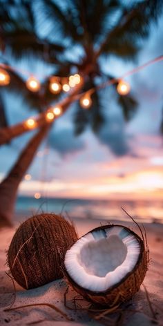 two coconuts on the beach with lights in the background