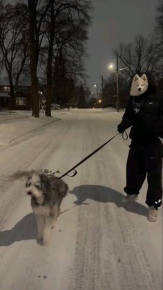 a person walking a dog on a leash down a snow covered street with trees in the background