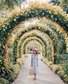 a woman in a dress and straw hat walking down a path lined with yellow flowers