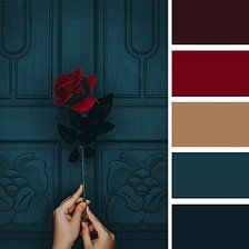 a person holding a red rose in front of a blue door with the color scheme on it