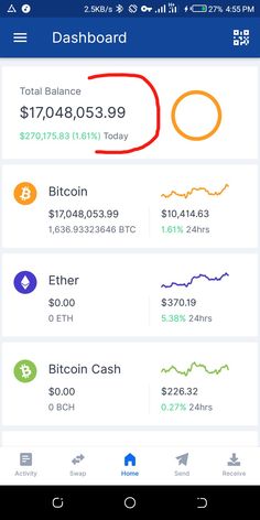 the dashboard screen shows different types of cash