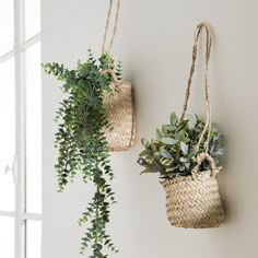 two baskets with plants hanging from the wall