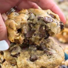 a person holding a chocolate chip cookie in their hand