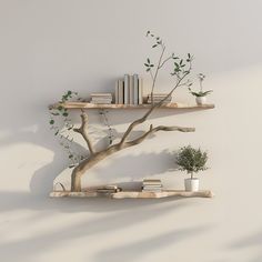 two wooden shelves with plants and books on them