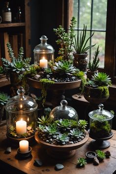 a table topped with lots of plants and glass containers filled with candles on top of it