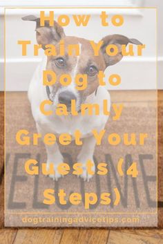 a brown and white dog standing on top of a wooden floor next to a door