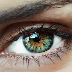 an eye with blue and brown colors is seen in this close up photo, showing the structure of the iris