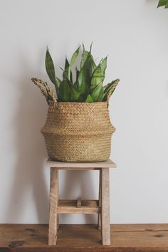 a plant in a woven basket sitting on a wooden stool next to a white wall