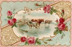 an old postcard with cows and roses on it