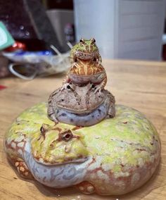 a frog is sitting on top of another frog