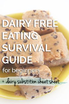 dairy free eating survival guide for beginners