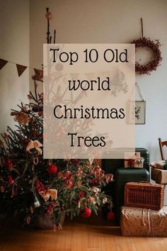 a christmas tree with presents under it and the words top 10 old world christmas trees